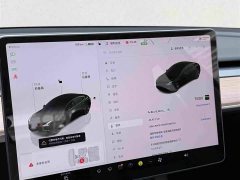 Tesla Model 3 2022 Rear-Wheel Drive - ფოტო 10