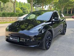 Tesla Model Y Rear-Wheel Drive - ფოტო 1