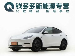 Tesla Model Y Long Range All-Wheel Drive - ფოტო 1