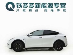 Tesla Model Y Long Range All-Wheel Drive - ფოტო 14