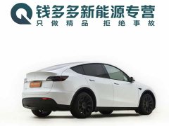 Tesla Model Y Long Range All-Wheel Drive - ფოტო 15