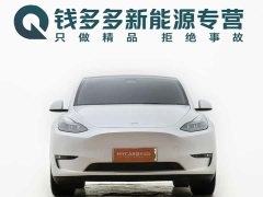 Tesla Model Y Long Range All-Wheel Drive - ფოტო 2