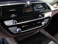 BMW 5 Series 525Li Luxury Package - ფოტო 11
