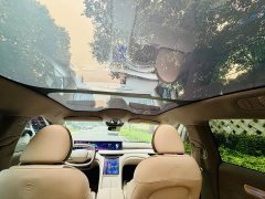 IM Motors Zhiji L6 Max - ფოტო 14