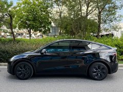 Tesla Model Y Rear-Wheel Drive - ფოტო 3