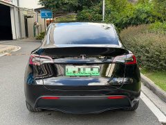 Tesla Model Y Rear-Wheel Drive - ფოტო 5