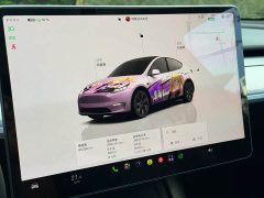 Tesla Model Y Rear-Wheel Drive - ფოტო 9