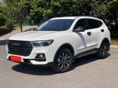Haval H6 National Trend Edition 1.5T Automatic Urban Version - ფოტო 1