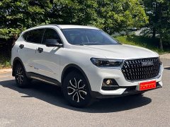 Haval H6 National Trend Edition 1.5T Automatic Urban Version - ფოტო 3