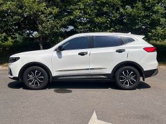 Haval H6 National Trend Edition 1.5T Automatic Urban Version - ფოტო 4