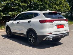 Haval H6 National Trend Edition 1.5T Automatic Urban Version - ფოტო 5