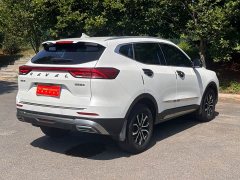 Haval H6 National Trend Edition 1.5T Automatic Urban Version - ფოტო 7
