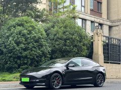 Tesla Model 3 Performance All-Wheel Drive - ფოტო 1