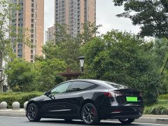 Tesla Model 3 Performance All-Wheel Drive - ფოტო 10