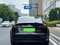 Tesla Model 3 Performance All-Wheel Drive - ფოტო 11
