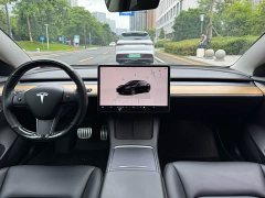 Tesla Model 3 Performance All-Wheel Drive - ფოტო 6