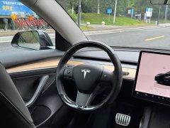 Tesla Model 3 Performance All-Wheel Drive - ფოტო 7
