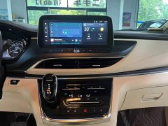 Buick GL8 Land Business Class Intelligent Premium Edition - ფოტო 13