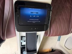 Mercedes-Benz Maybach GLS 600 4MATIC Ceremony Edition - ფოტო 13