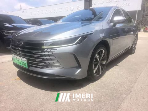 2024 BYD Destroyer 05 2023 Champion Edition DM-i 120KM Premium Type - ავტომობილი ჩინეთიდან
