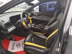 Trumpchi Leopard 270T DCT J15 - ფოტო 4