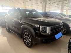 Great Wall Dachshund 1.5T DCT Border Collie Edition - ფოტო 2