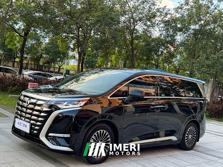Denza BYD Denza D9 DM-i 1050 Premium - ავტომობილი ჩინეთიდან