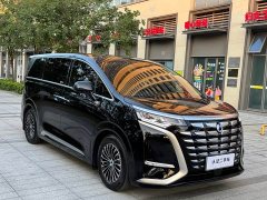 Denza BYD Denza D9 DM-i 1050 Premium - ფოტო 3