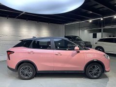 Neta V Long-Range Industry Custom Edition - ფოტო 4
