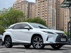 Lexus RX 2021 300 AWD Special Edition - ფოტო 3