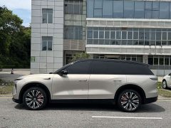 NIO ES8 75kWh - ფოტო 19
