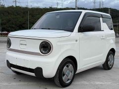 Geely Panda Mini 200km Endurance Edition - ფოტო 1