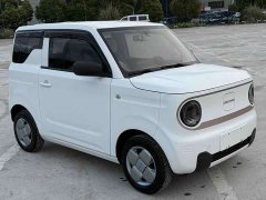 Geely Panda Mini 200km Endurance Edition - ფოტო 2