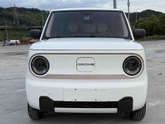 Geely Panda Mini 200km Endurance Edition - ფოტო 3