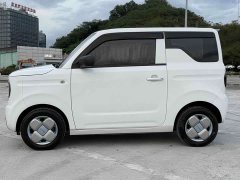 Geely Panda Mini 200km Endurance Edition - ფოტო 4