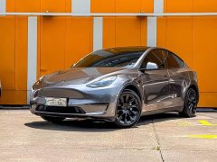 Tesla Model Y Long Range All-Wheel Drive - ფოტო 1