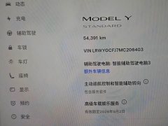 Tesla Model Y 2021 Standard Range RWD - ფოტო 11