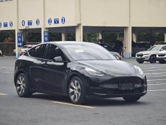 Tesla Model Y 2021 Standard Range RWD - ფოტო 3