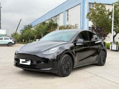 Tesla Model Y Rear-Wheel Drive - ფოტო 1