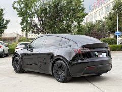 Tesla Model Y Rear-Wheel Drive - ფოტო 3