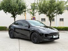 Tesla Model Y Rear-Wheel Drive - ფოტო 6