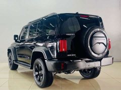 Tank 300 2.0T Conqueror - ფოტო 8
