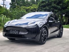 Tesla Model Y Rear-Wheel Drive - ფოტო 1