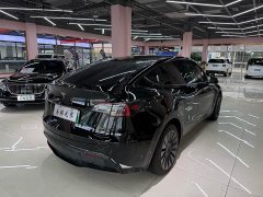 Tesla Model Y Rear-Wheel Drive - ფოტო 6