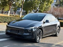 Tesla Model Y 2025 Rear-Wheel Drive - ფოტო 1