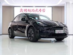 Tesla Model Y 2023 Rear-Wheel Drive - ფოტო 2