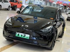 Tesla Model Y Rear-Wheel Drive - ფოტო 1