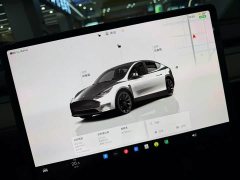 Tesla Model Y Rear-Wheel Drive - ფოტო 7
