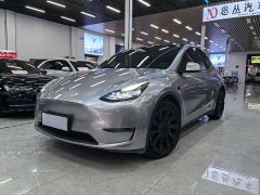 Tesla Model Y Long Range All-Wheel Drive - ფოტო 1