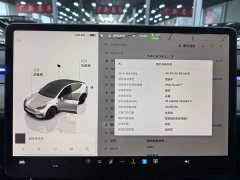 Tesla Model Y Long Range All-Wheel Drive - ფოტო 6